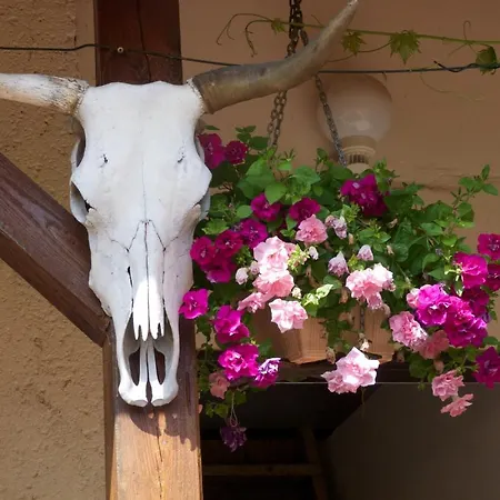 Farm stay Farma Zahradnice